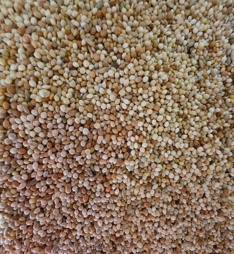 Pájaros Tropicales Clásicos 5kg - Versele Laga