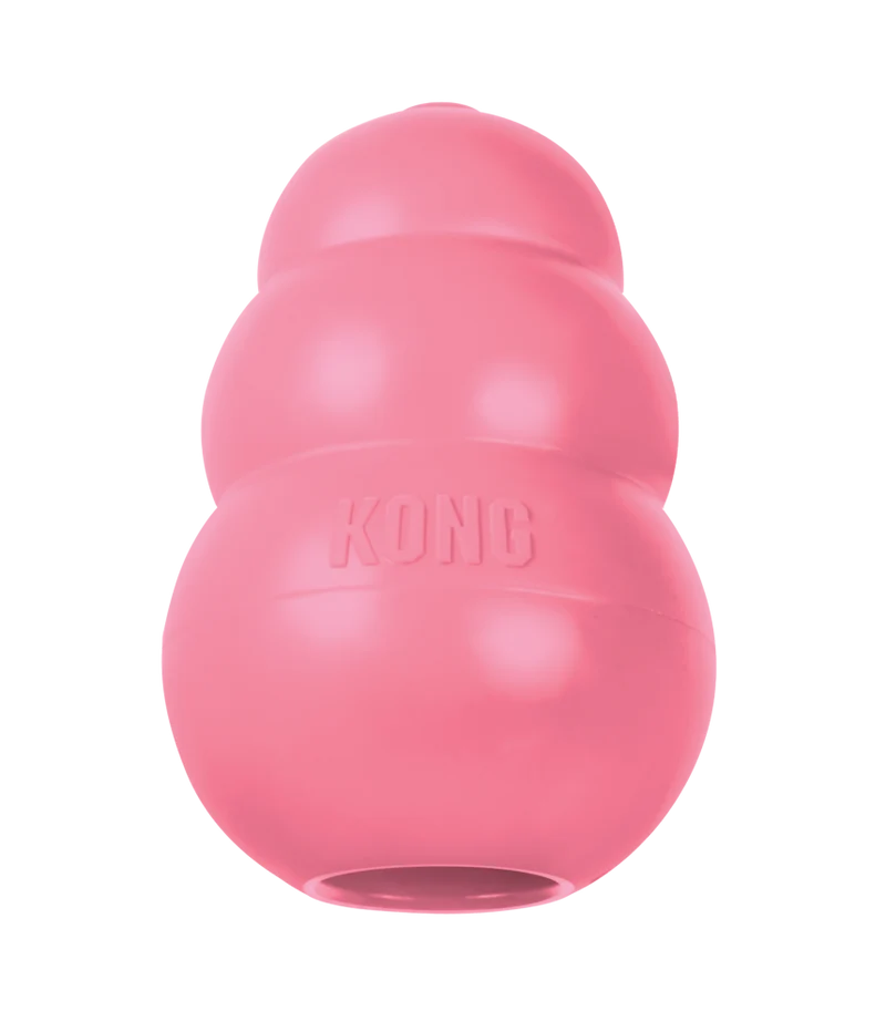 Kong Puppy para cachorros
