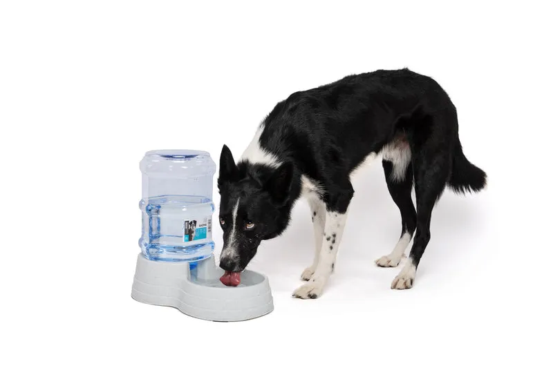 Dispensador de Agua por Gravedad SAONE para Perros y Gatos | M‑PETS®