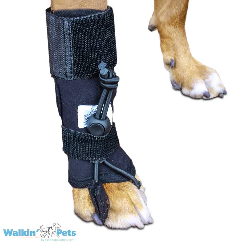 No-Knuckling Training Sock Pata Delantera de Walkin' Pets