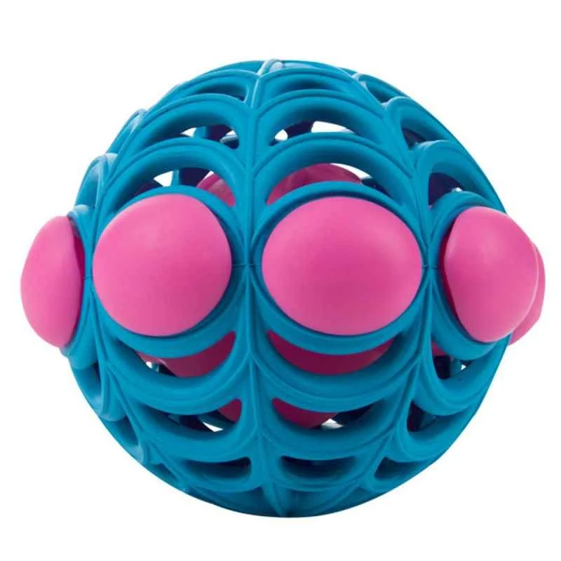 Pelota telaraña para perros