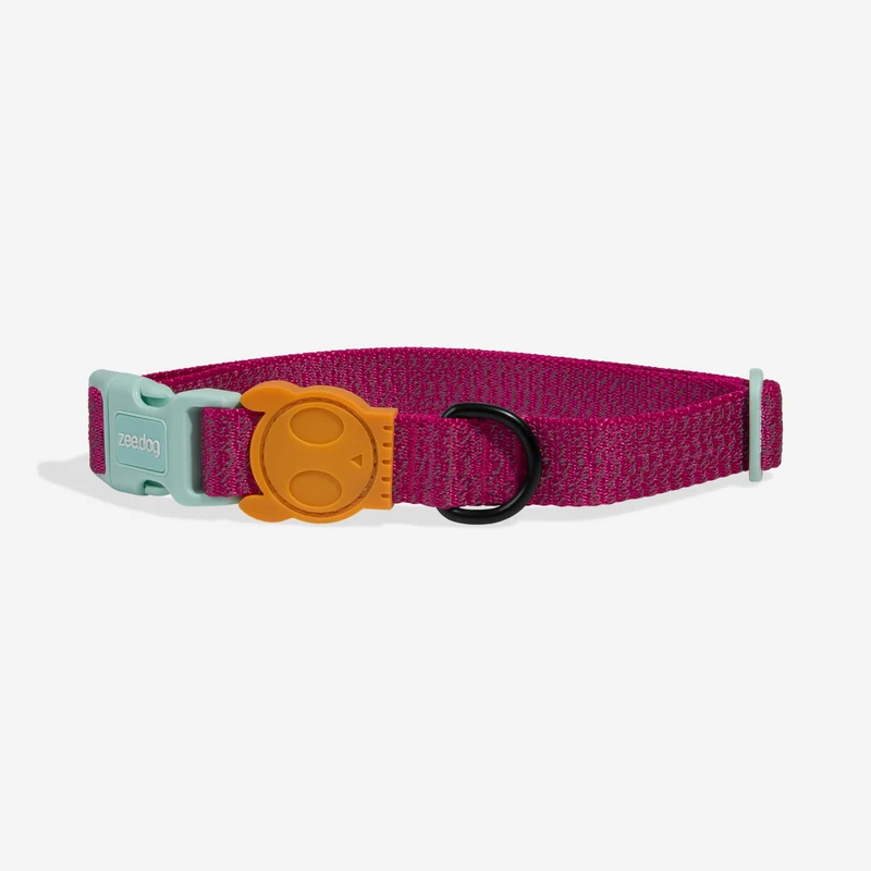Collar para Perros Nox Sidus - Zee.Dog