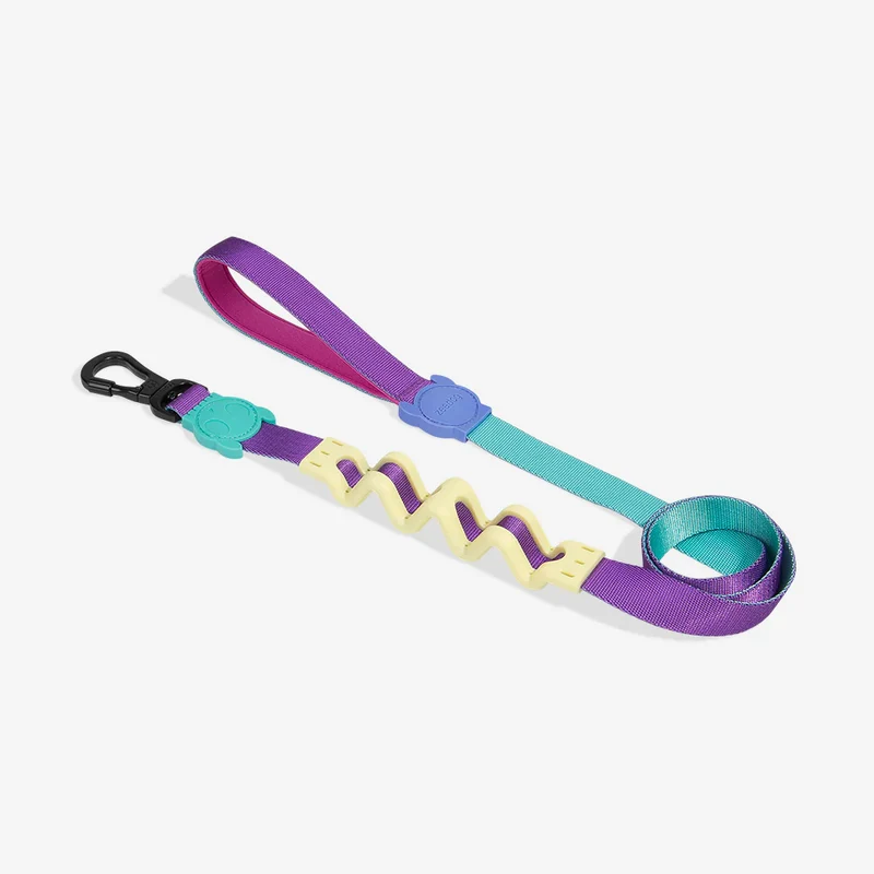Correa Anti-Tirones Shockwave - Ruff Leash 2.0 Zee.Dog