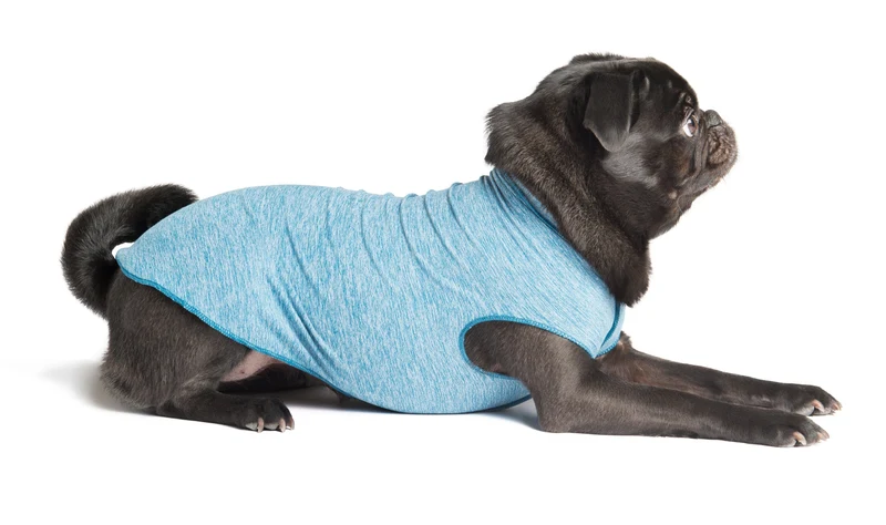Camiseta Protectora Para Perros Sun Shield - Azul