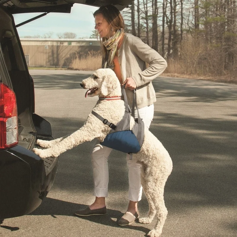 Soporte Para Perro Up & About Dog Lifter De Kurgo