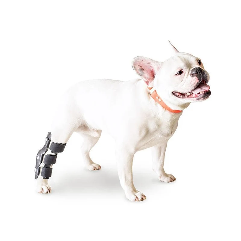Ferula de Corvejón Para Perro Walkin’ Hock Splint de Walkin' Pets