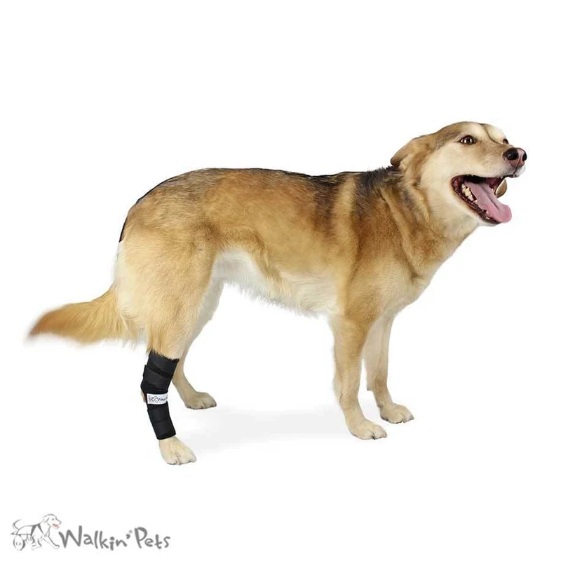 Muñequera Para Corvejón para Perro - Walkin’ Hock Hugger de Walkin' Pets