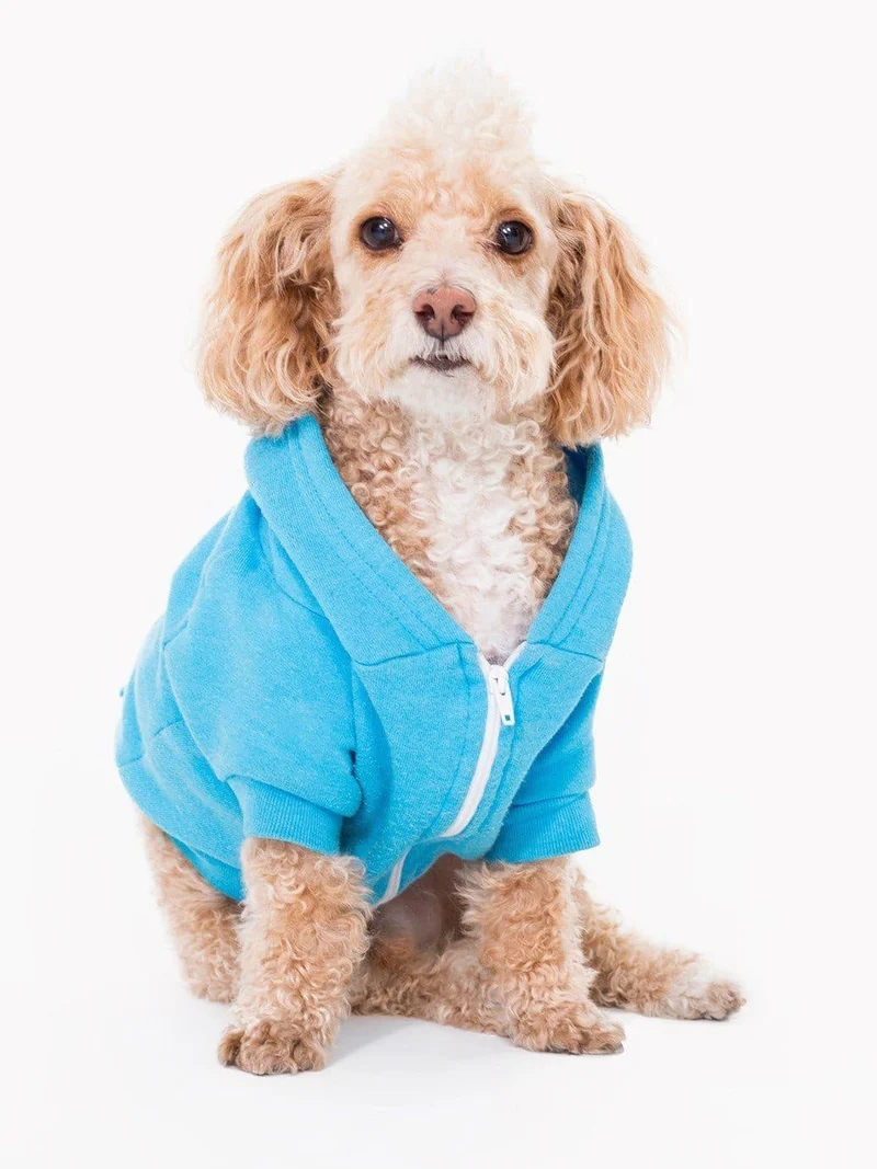 Hoodie Para Perro en Color Azul Neon