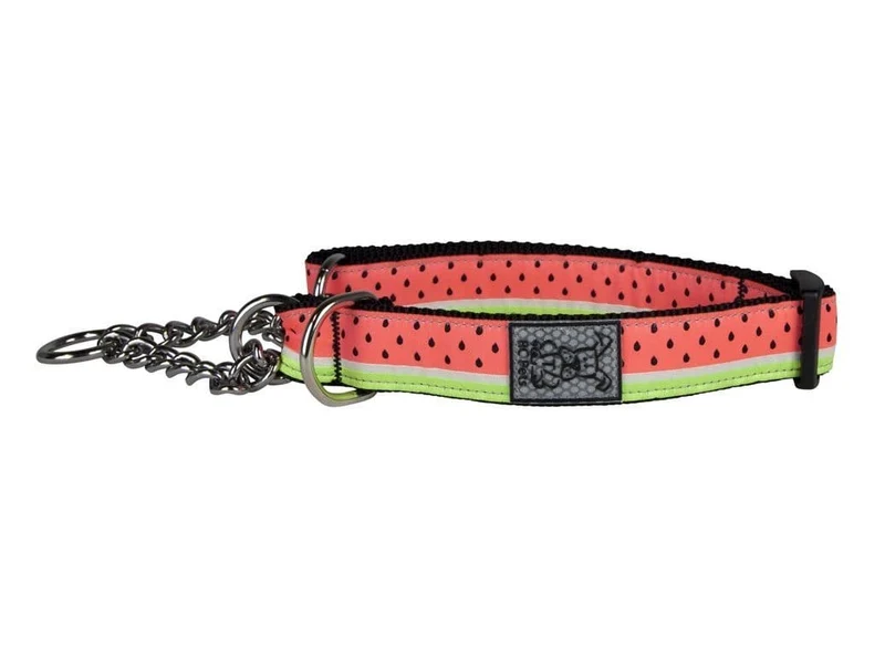 Collar de Entrenamiento Para Perros Martingale estilo Sandia
