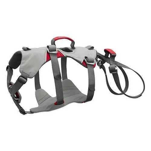 Arnés Para Perros DoubleBack™ Harness - Ruffwear México
