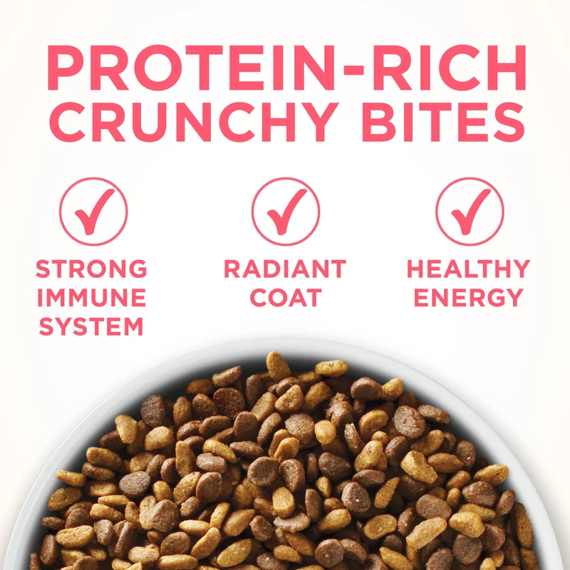 Purina ONE High Protein, Natural Dry Kitten Food, +Plus Healthy Kitten 3.5 lbs