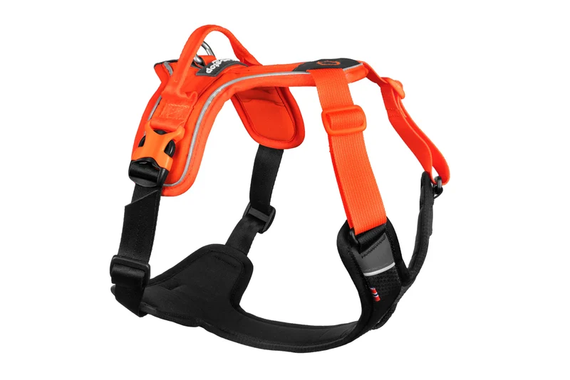 Arnés NON-STOP RAMBLE HARNESS - OUTLET