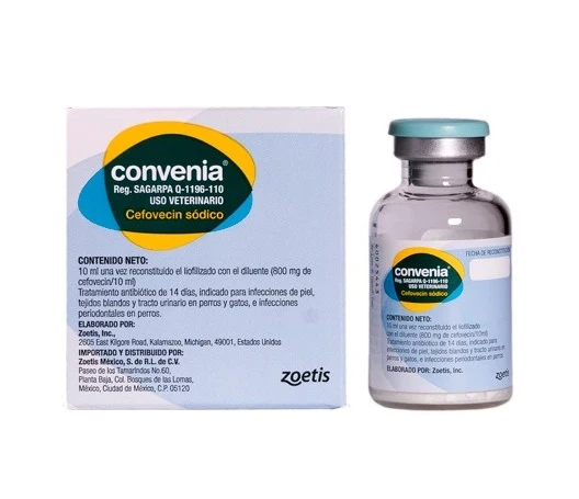 Convenia 80 mg x 4 ml
