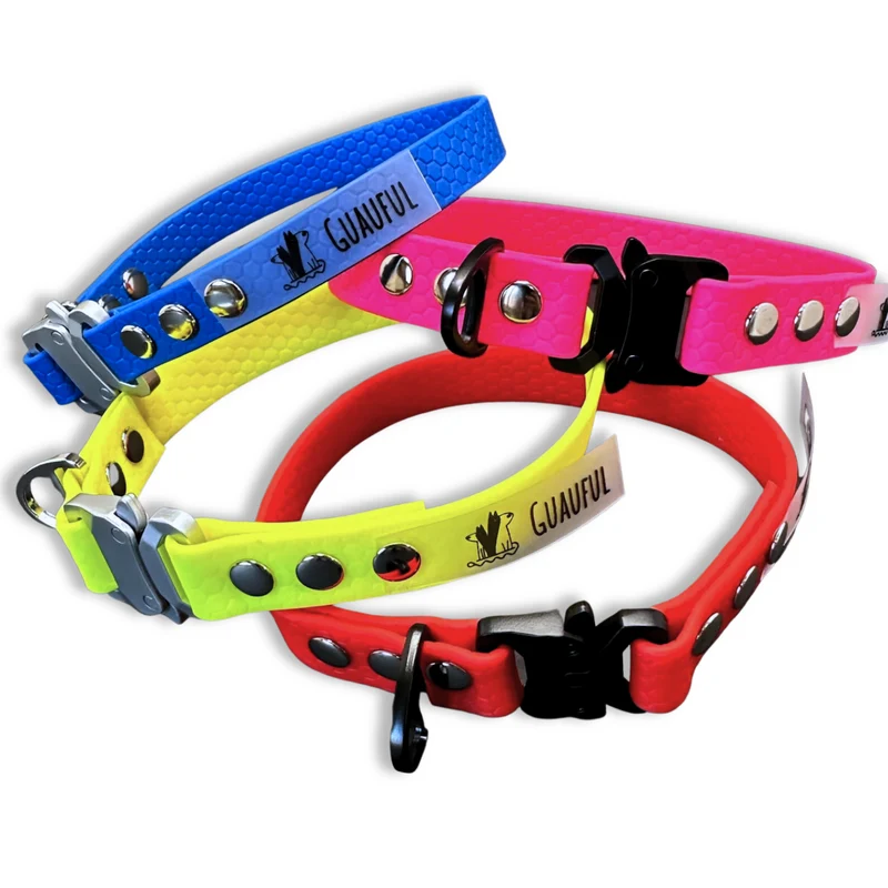 Collar identificativo ajustable (ideal para GPS o chapa identificativa)