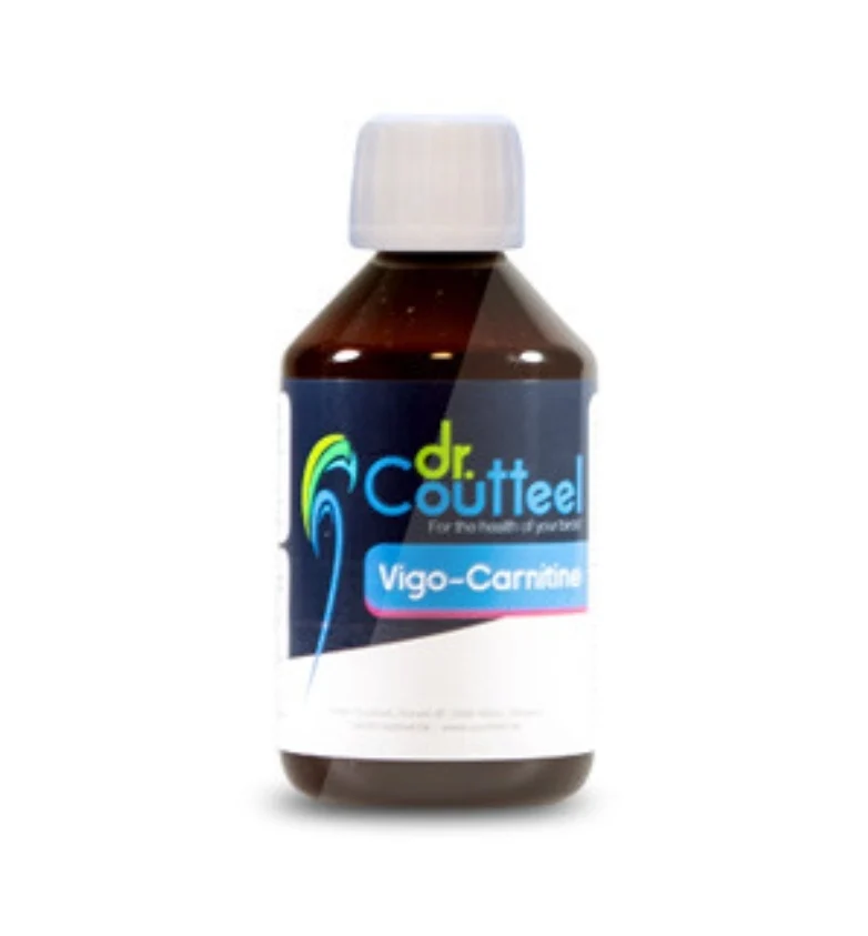 Vigo-Carnitina 250ml, (L-carnitina enriquecida con Magnesio, Colina, Inositol) - Dr Coutteel