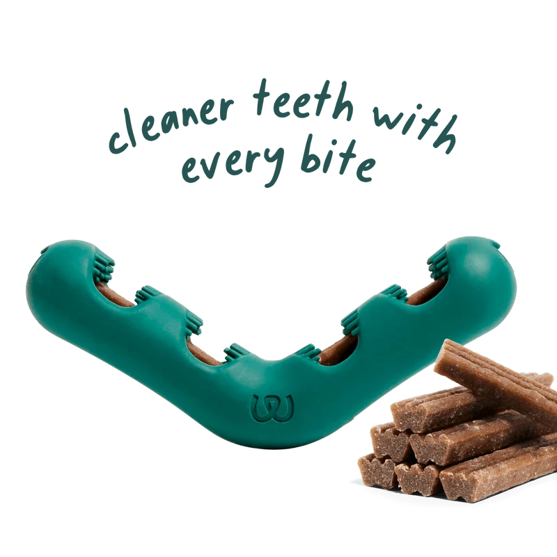 Juguete Bite n' Brush para Perros | Salud Dental y Diversión con Cada Mordida de Woof