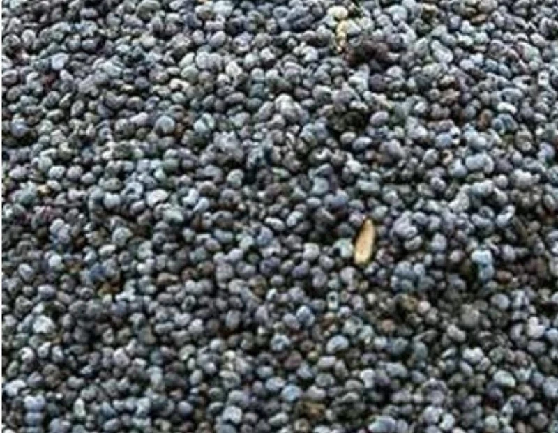 Semilla de amapola azul 5kg