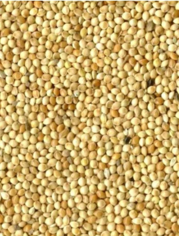 Blanco de semilla redonda (mijo) 1kg