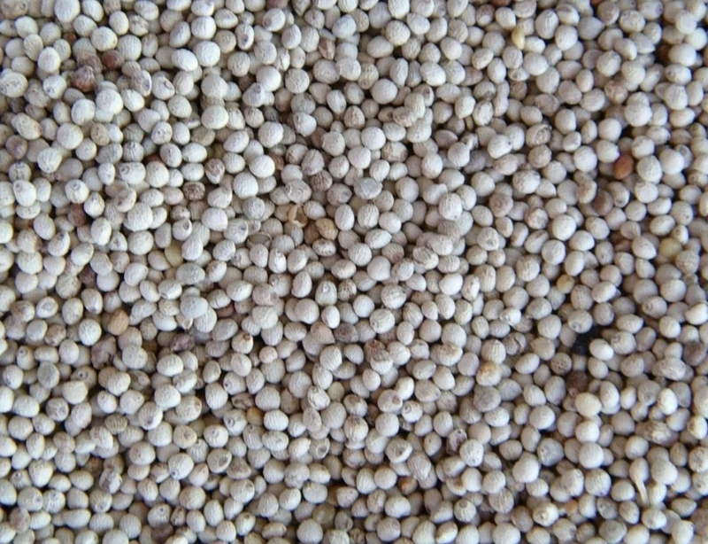 Perilla Blanca 1kg