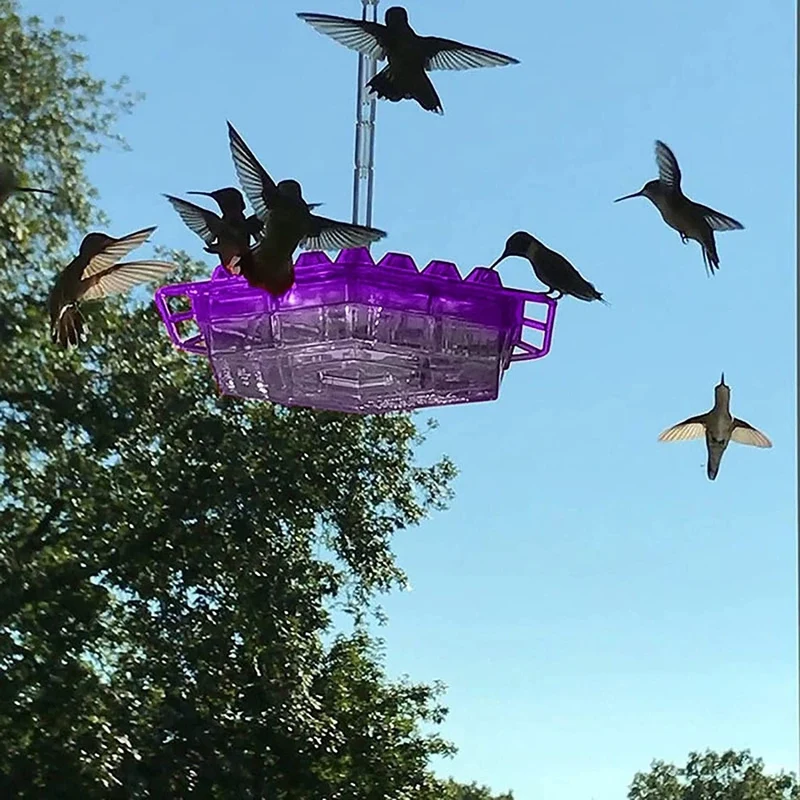 Elegant outdoor hummingbird feeder with ant protection