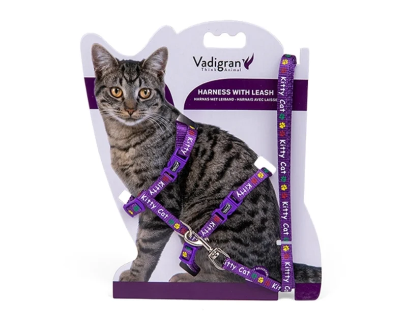 ARNES+CORREA KITTY CAT MORADO 15-22/30-32CM+120CM