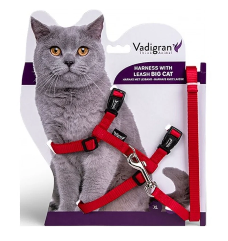 ARNES+CORREA BIG CAT ROJO 34/57CM+120CM