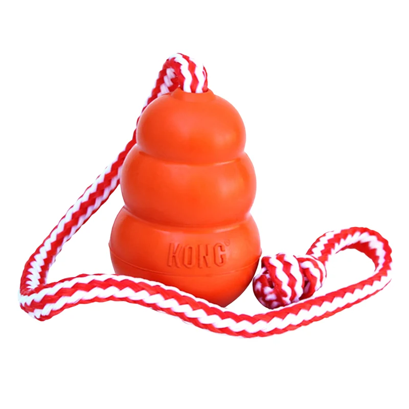 Juega y Entretiene a tú perro con Kong Aqua - Kong Aqua
