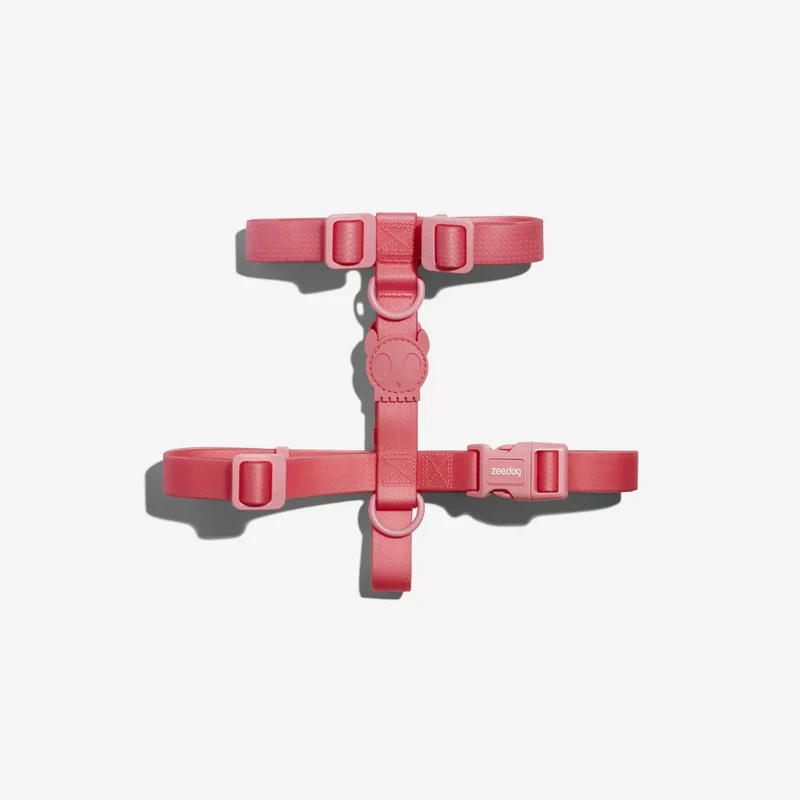 Arnés para Perros Neopro Bubblegum - H Harness Zee.Dog
