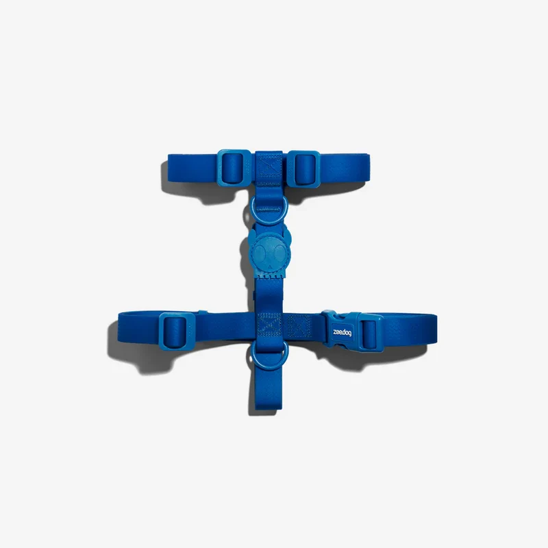 Arnés para Perros Neopro Blue - H Harness Zee.Dog