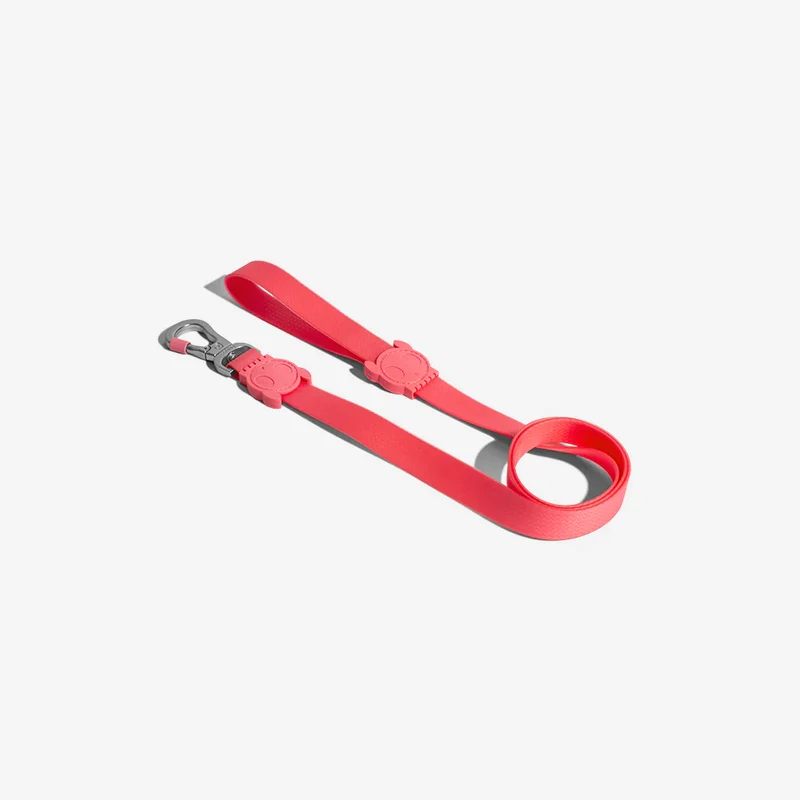 Correa para Perros Neopro Bubblegum - Zee.Dog