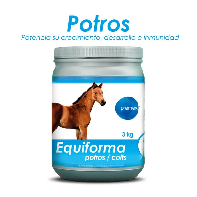 Equiforma Potros