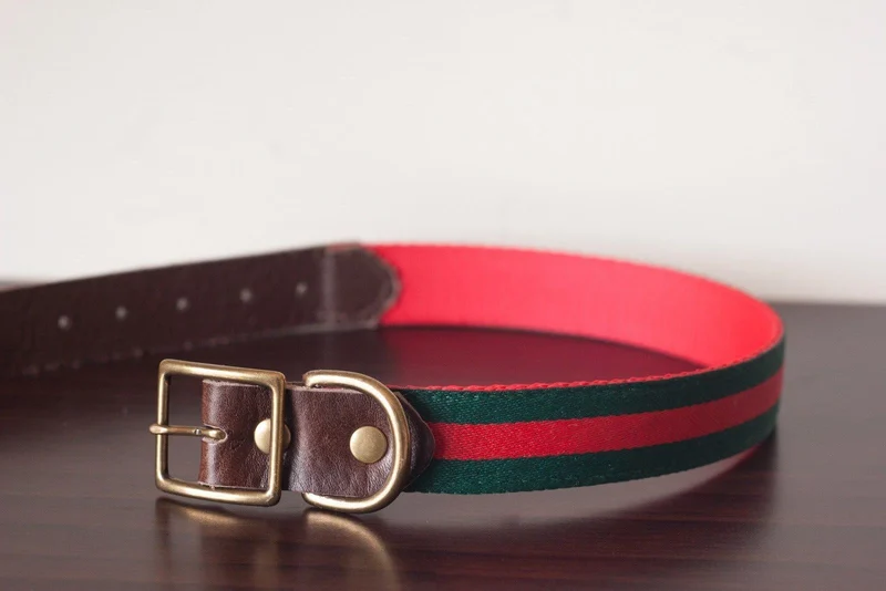 Collar para Perros Sücü® - Italia de 1" (MD y GR)
