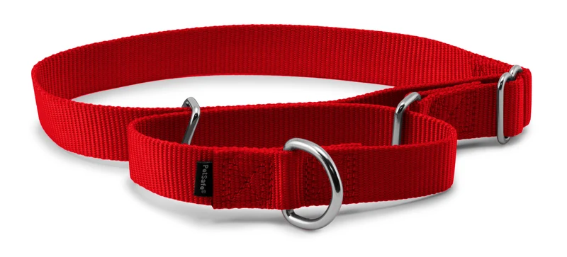 Martingale Premier Collar de PetSafe en color Rojo