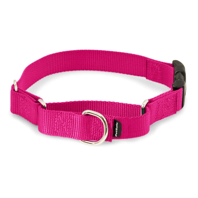 Martingale Premier Collar con Hebilla de Liberación color Rosa