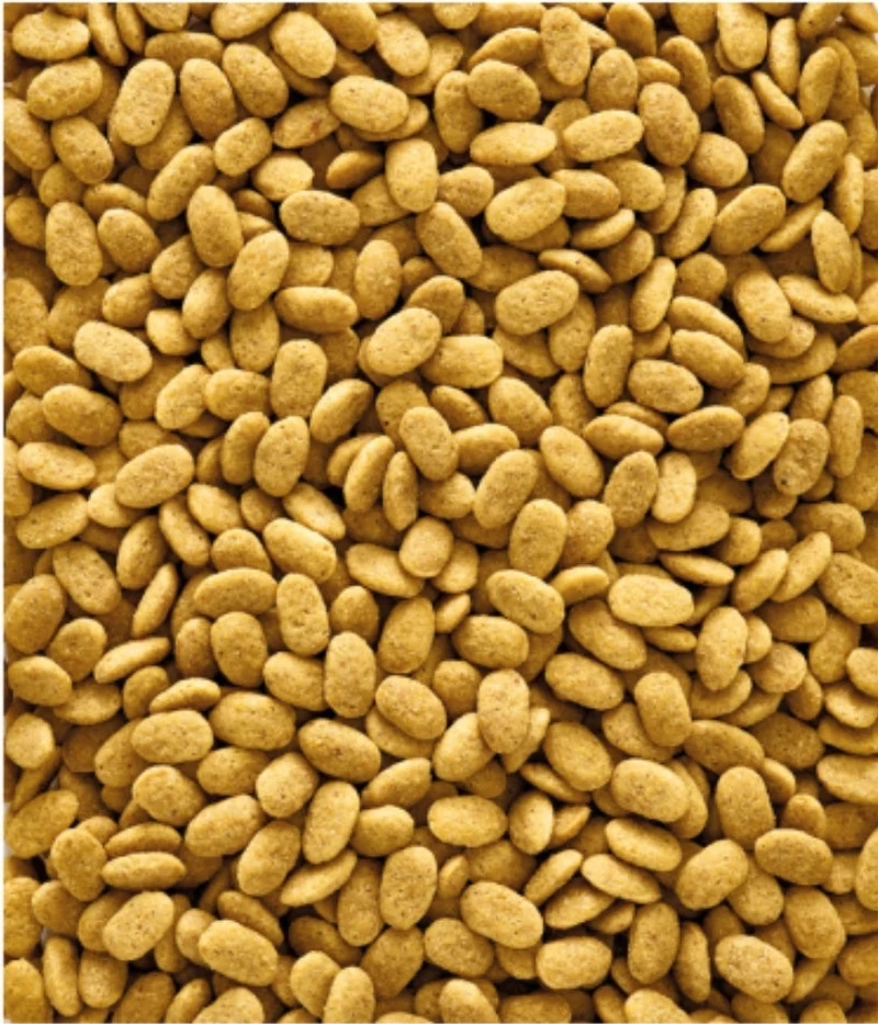 Nutribird P15 original 1kg (autopesado) - Pellets extrusionados - Alimento de mantenimiento para loros