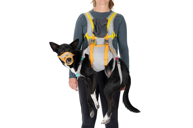 Kit de Evacuación para Perros - BackTrak™