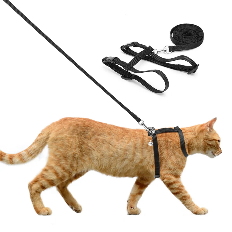 Arnes Para Gato