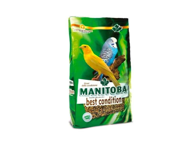 Manitoba Condition Semilla 2.5 kg