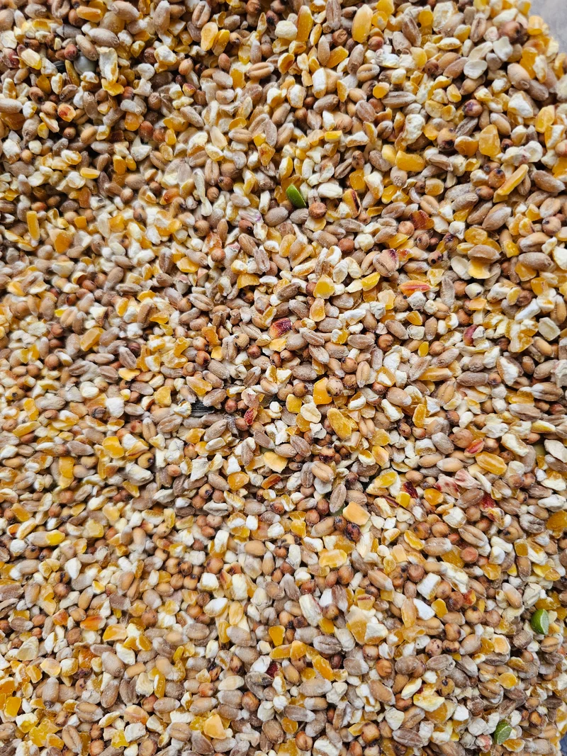 Poeljen grano 5kg - Pienso para pollos - Sin marca
