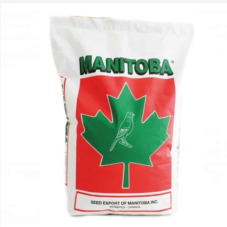 Pinzones australianos exóticos extra elegantes de Manitoba - Perilla blanca - 20 kg