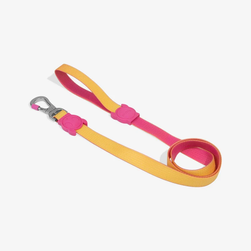 Correa para Perros Neopro Lyra - Zee.Dog