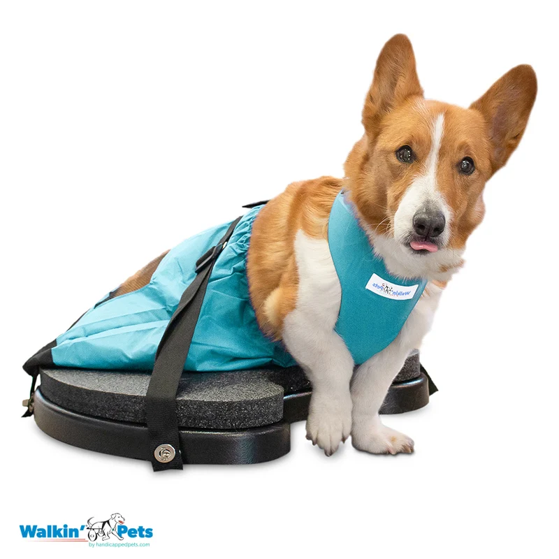 Walkin' Scooter para Perros de Walkin' Pets® en México