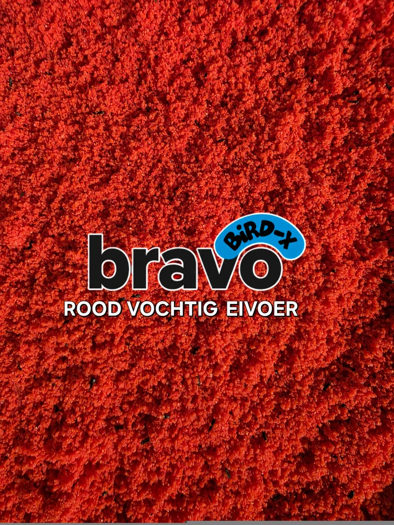Alimento húmedo para aves Bravo Red 5 kg - Bird-X Italia