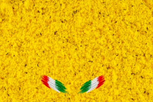 Alimento húmedo de huevo amarillo Bravo 20 kg - Bird-X Italia