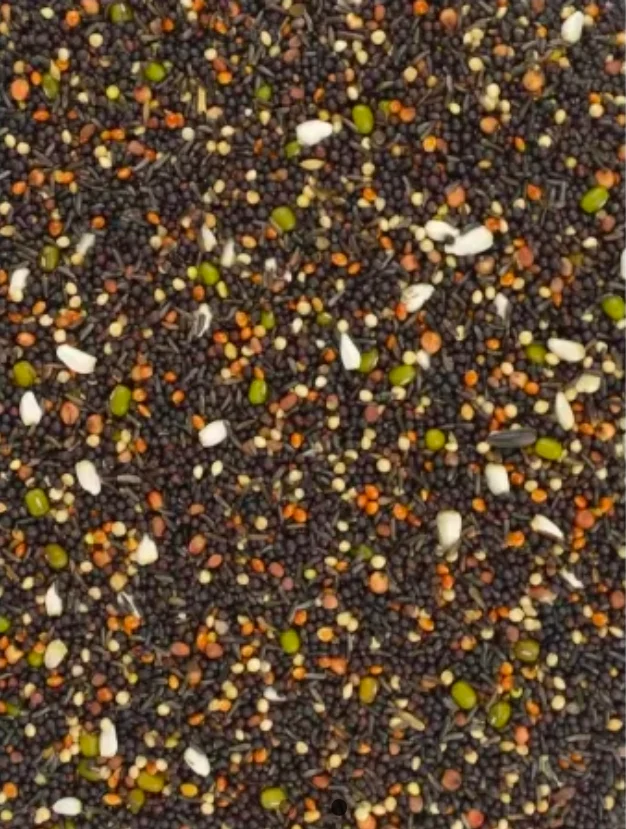 Germinación de semillas 5 kg - Canarios y pinzones - Bird-X