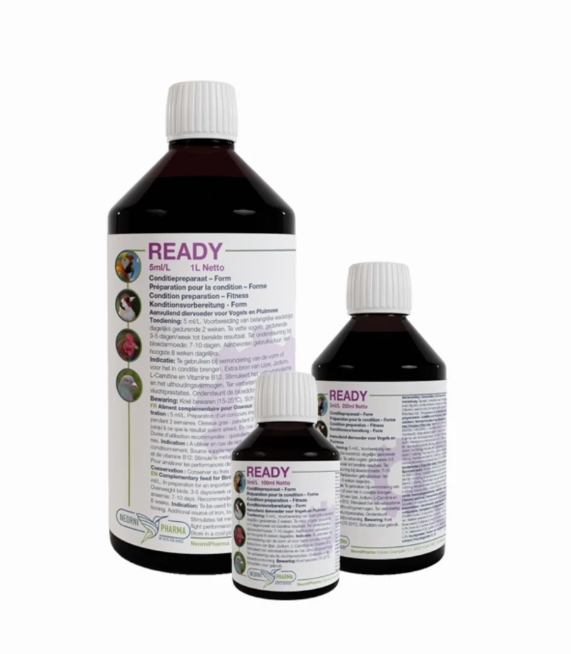 Ready 100ml (Aumento de energía adicional, vitamina B12, L-Carnitina) - Neornipharma