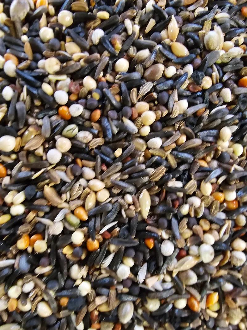 Semillas de acondicionamiento 1kg ( 216 ) - Hobbyfarm Hoebregts