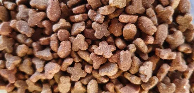 Menú Regular Gato 1kg | Duvo+ (en paquete propio)