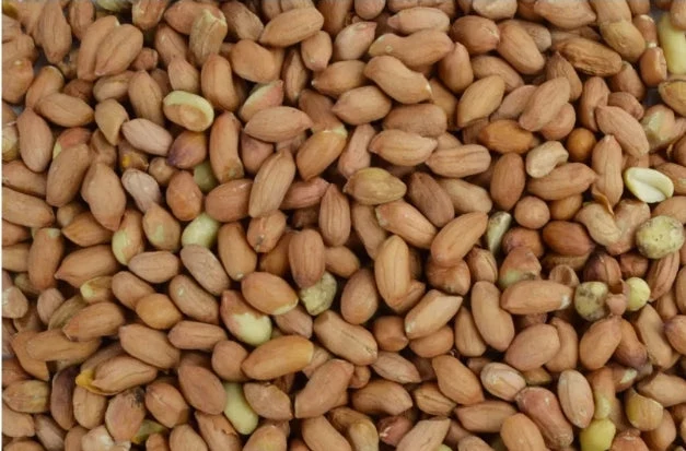 Cacahuetes Pelados 500 gramos - Garden Heroes