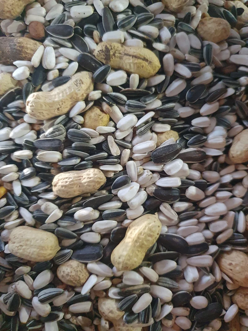 Parrots Mix Duvo+ 5kg (empaquetado tú mismo)